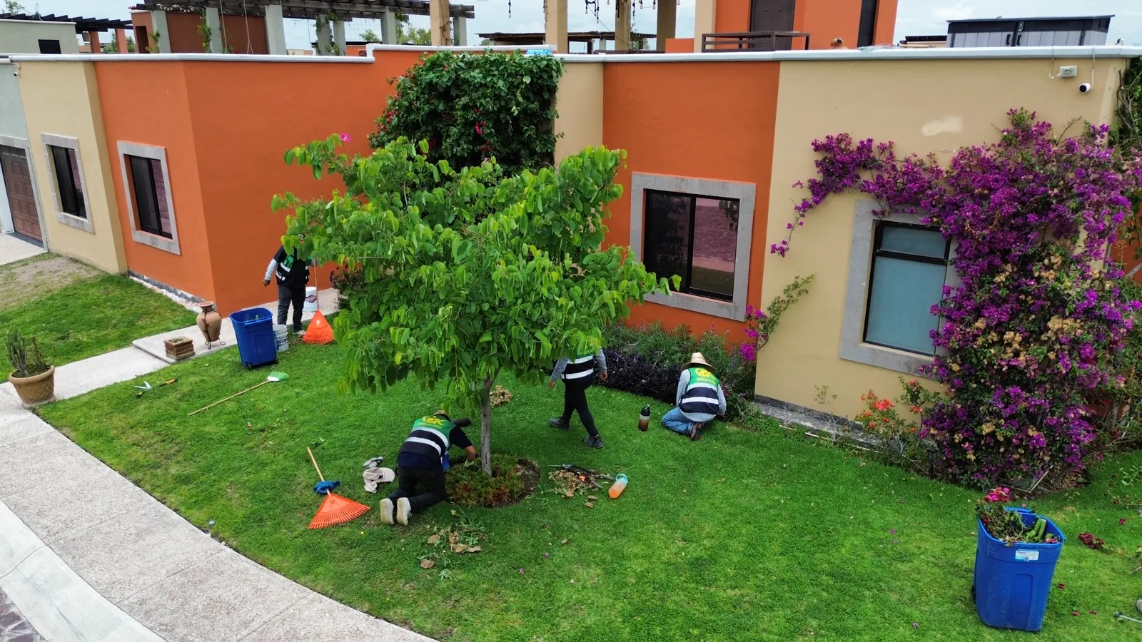 Vista aérea de cuadrilla trabajando en un jardín con bugambilia