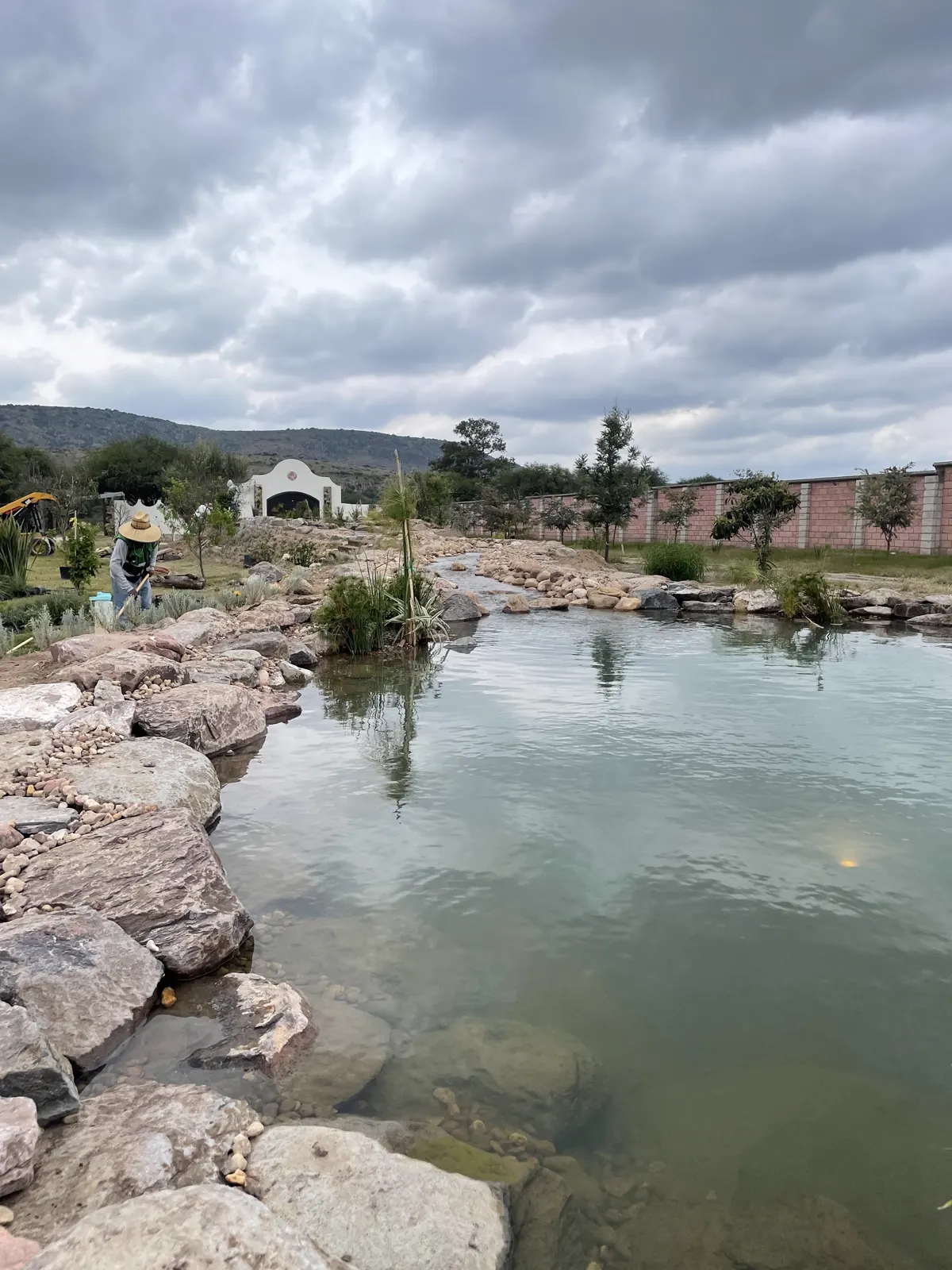 Estanque grande con rocas y vegetación acuática