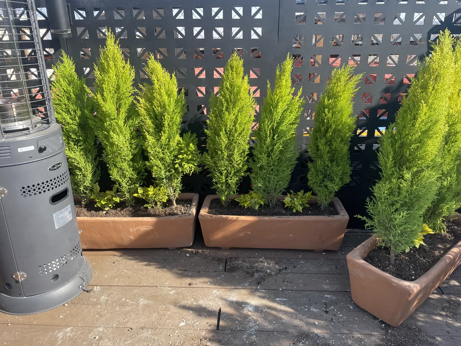 Terraza con cipreses en macetas de barro